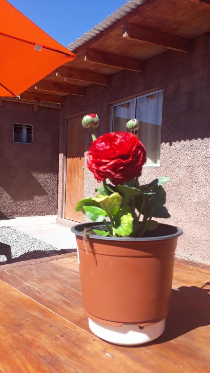 Hostal Open House San Pedro de Atacama Exterior foto
